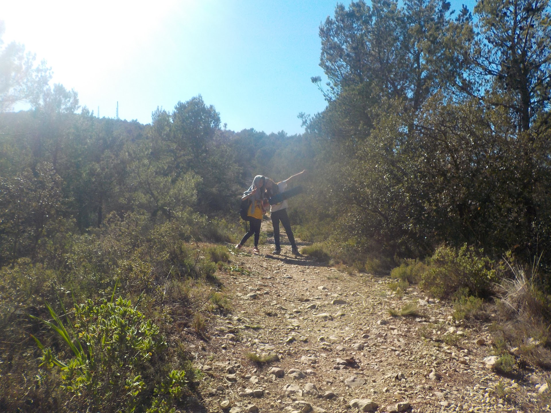 Actividad en el bosque