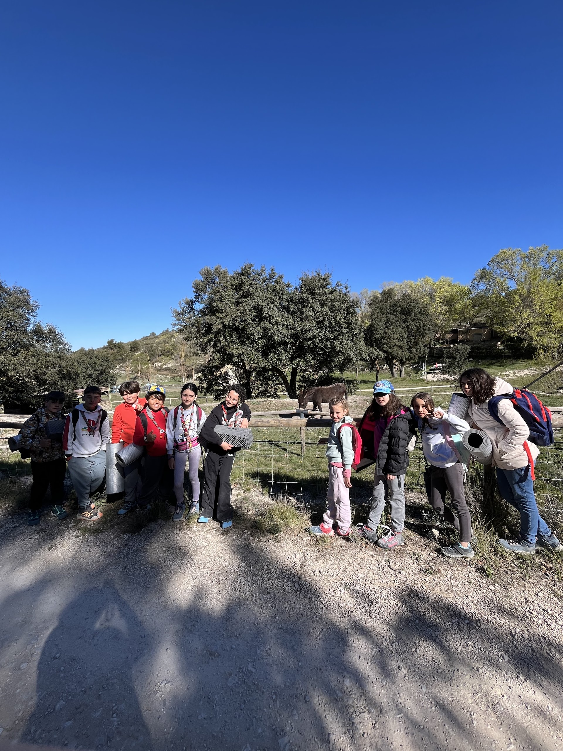 Campamento de la Manada